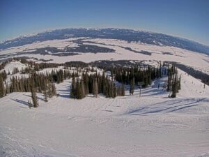 tamarack webcam