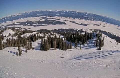 tamarack webcam