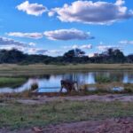 Hwange National Park, Zimbabwe