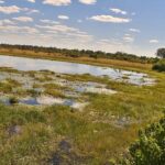 Selinda Reserve, Botswana
