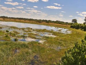 Selinda Reserve, Botswana
