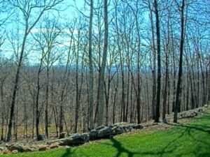 Third Hill Mountain, West Virginia