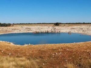 Okaukuejo, Namibia
