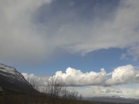 Birch scrub, a dark mountain slope and big clouds over Abisko on the live webcam