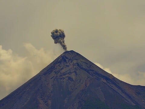 Small ash puff rising from Volcán de Fuego's cone on the webcam
