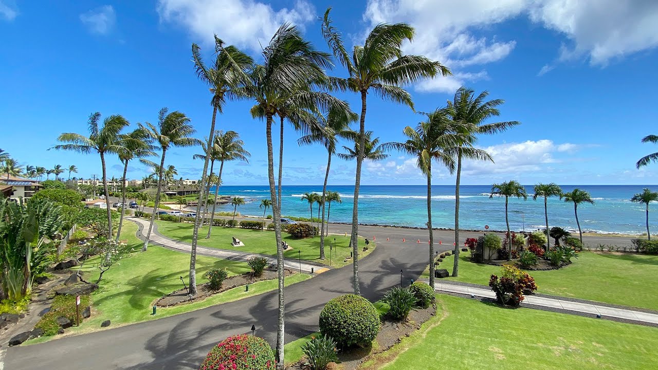 Palm trees and turquoise reef water at Lawai Beach on Kauai on the live webcam