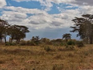Angama Amboseli, Kenya