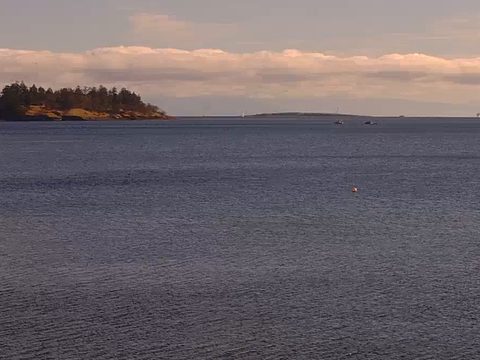 Departure Bay Webcam – Nanaimo’s Island-Ringed Ferry Bay