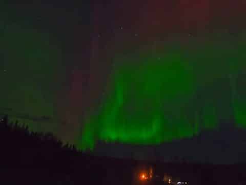 Green aurora arc rising over dark spruce trees on the Fairbanks Aurora Webcam in Alaska
