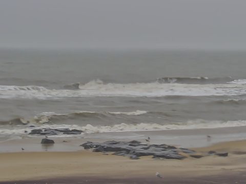 Manasquan Webcam – Surf Checks on the Jersey Shore