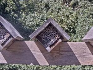 McMaster Bee Homes, Canada