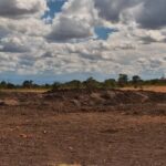 Ol Pejeta, Kenya