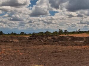 Ol Pejeta, Kenya