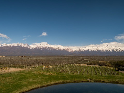 Uco Valley Webcam – Mendoza’s High Andes Vineyards