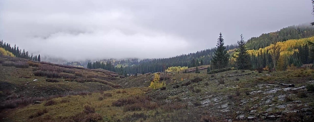 Golden aspens under low cloud in the East River valley near Gothic, Colorado webcam