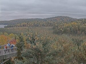Algonquin Park, Canada