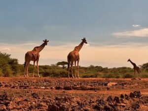 Chyulu Hills, Kenya