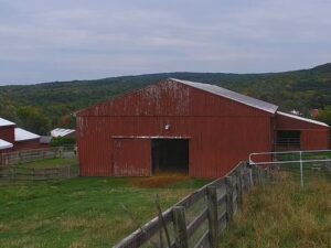 Farm Sanctuary, New York