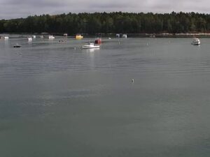 Hog Island Osprey Nest, Bremen, Maine