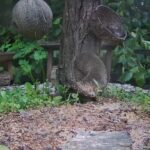 Lierganes Bird Feeder, Spain