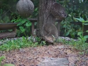 Lierganes Bird Feeder, Spain