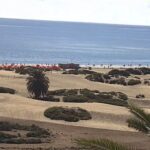 Maspalomas, Spain
