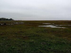 Matsalu Bay, Haeska, Estonia