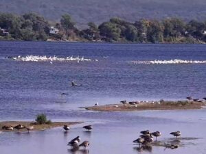 Mississippi River Flyway, Wisconsin