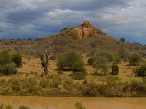 Mpala Research Centre, Laikipia, Kenya