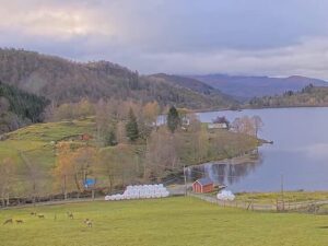 Nordfjord Deer Farm, Norway