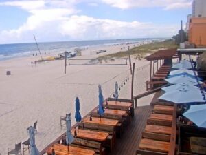 Sharky's Beach, Florida