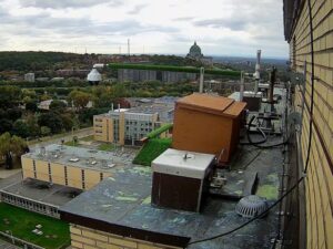 University of Montreal Falcon Nest, Canada