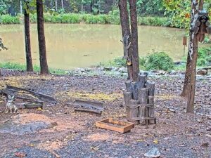 Woodlands Critter Quest, North Carolina