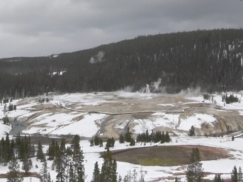 Yellowstone National Park Webcam – Watch Old Faithful Erupt